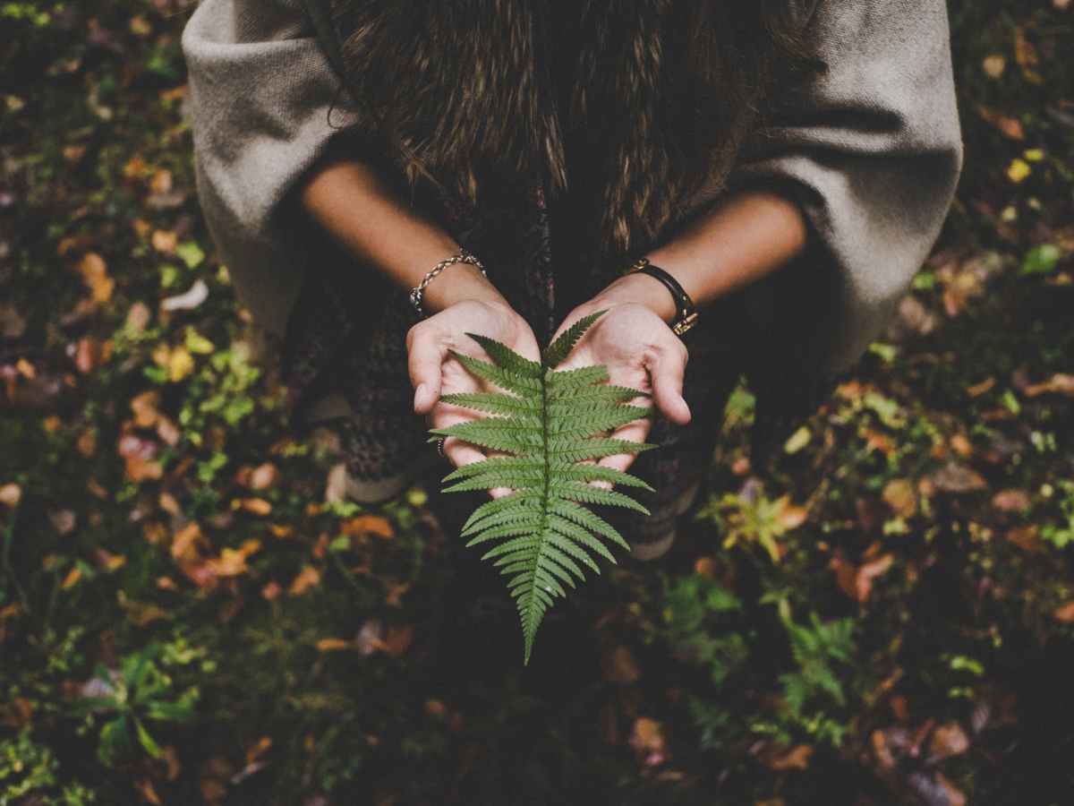 Herbalismo Ancestral – atendimento&nbsp;integral