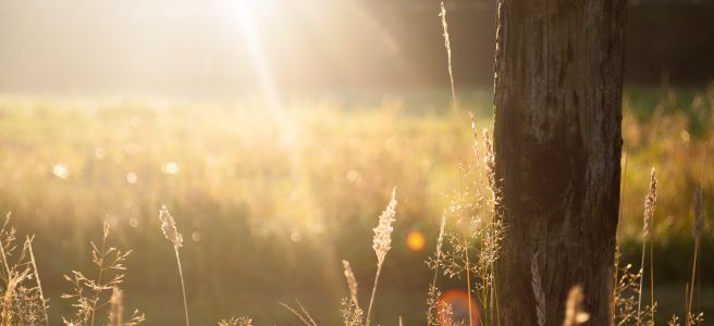 Camilla Carvalho atendimento completo terapia espiritual limpeza energização cartomante oraculista baralho cigano rezadeira reiki cristaloterapia herbalismo mentoria