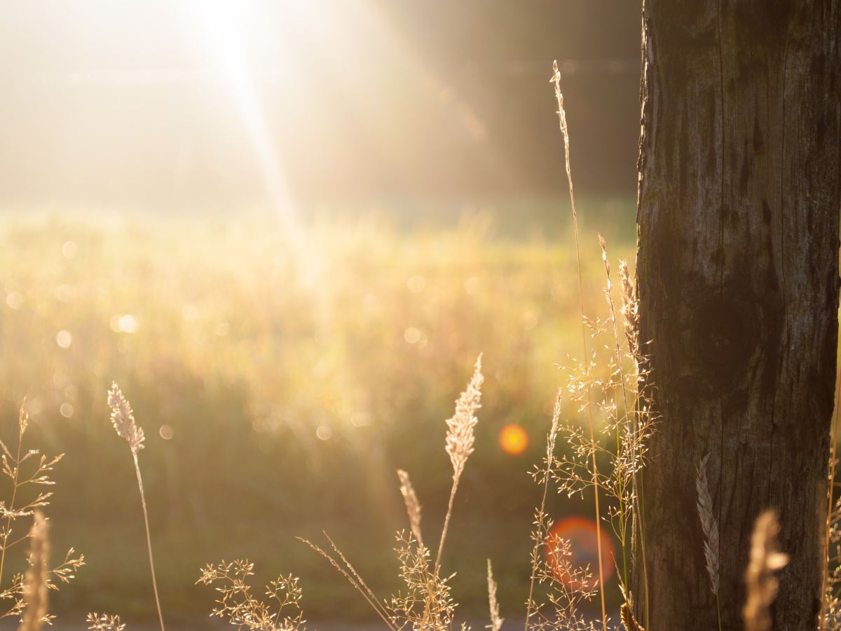 Reconectar – atendimento&nbsp;completo